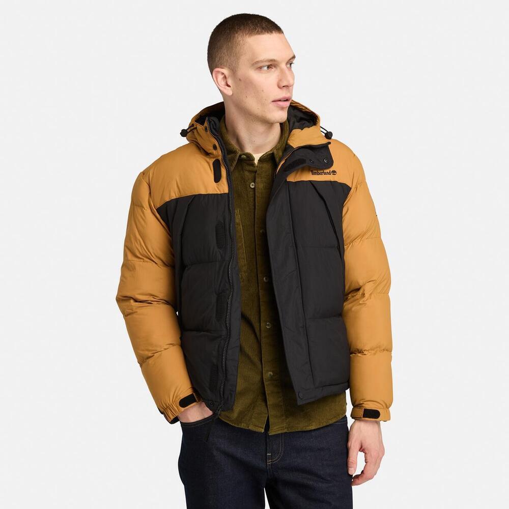 Durable Water Repellent Puffer Jacket For Men – Timberland South