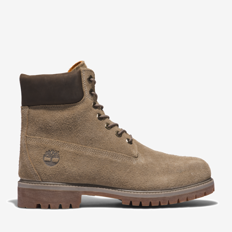 Timberland Timberland Premium 6 Inch Boot For Men In Taupe