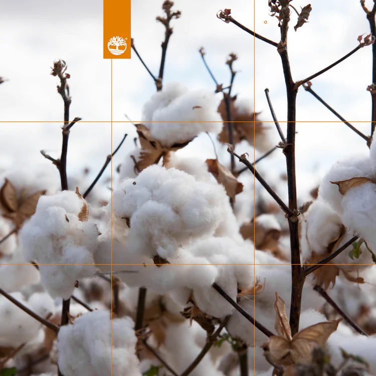 Timberland's Sustainability Initiatives: How the Brand is Making a Difference