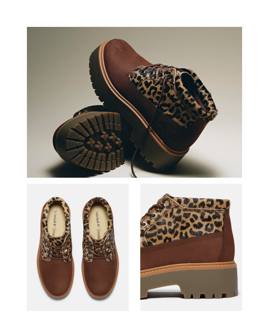 ANIMALIER: UNLEASH THE WILD