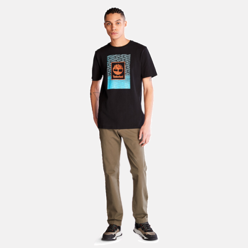 TIMBERLAND SARGANT LAKE CHINOS FOR MEN IN BROWN