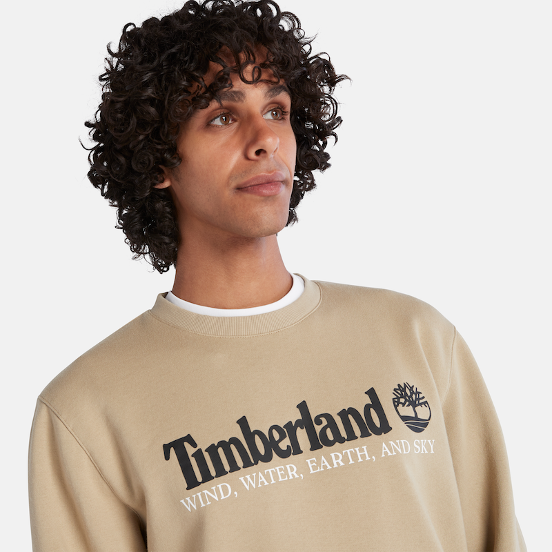 TIMBERLAND WIND, WATER, EARTH, AND SKY SWEATSHIRT FOR MEN IN BEIGE