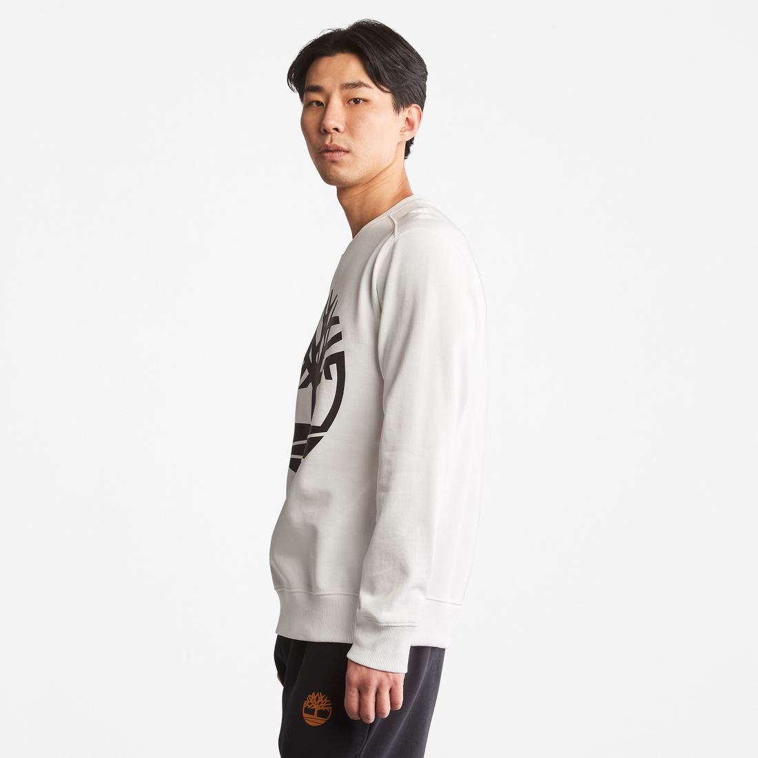 Classic Core Logo Crew Sweatshirt for Men In Natural – Timberland South ...