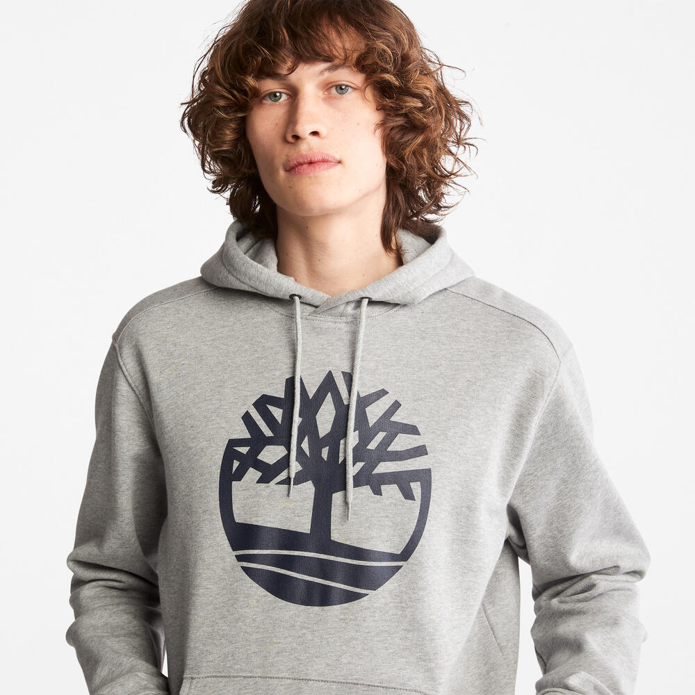 Core Tree Logo Regular Fit Hoodie For Men