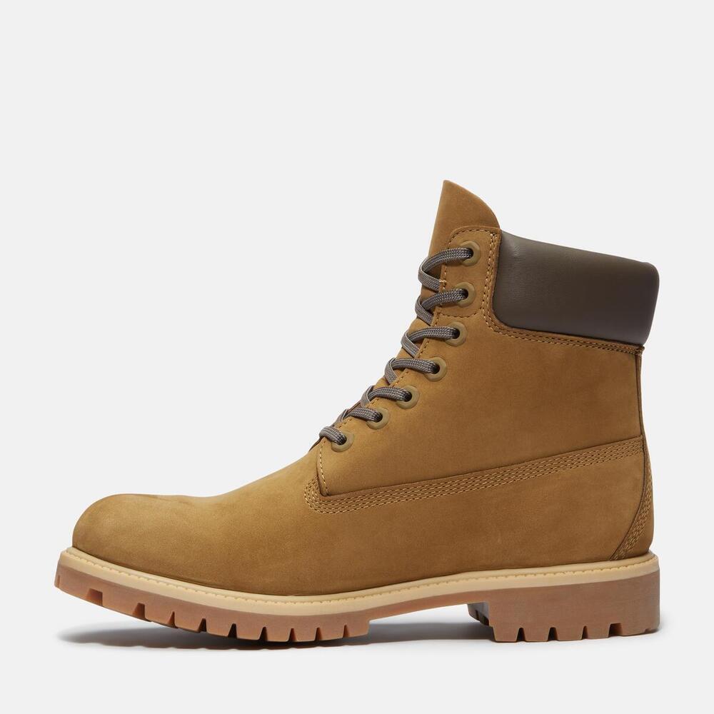 Timberland Premium 6 Inch Lace Up Waterproof Boot For Men
