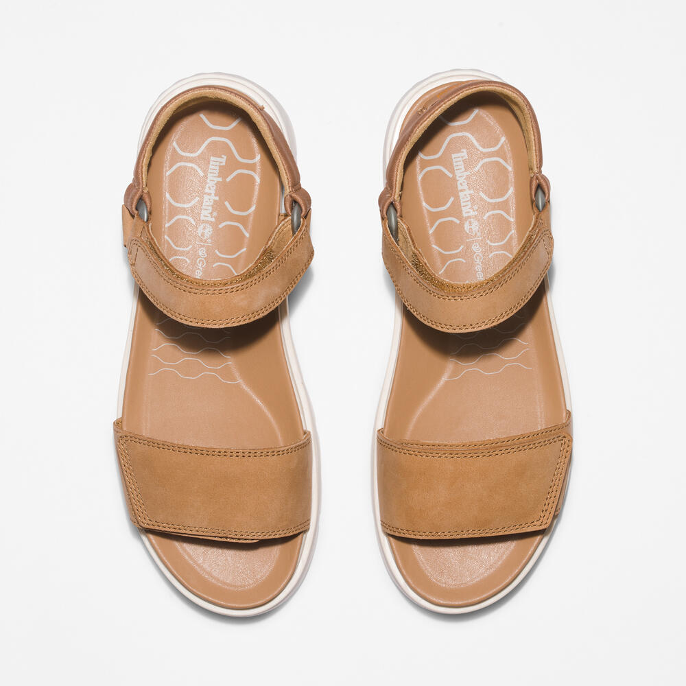 Timberland® Ray City Ankle Strap Sandal for Women in Wheat. Wheat leather sandal with ankle strap, comfortable cushioning, and durable outsole. Versatile for casual wear and urban adventures.