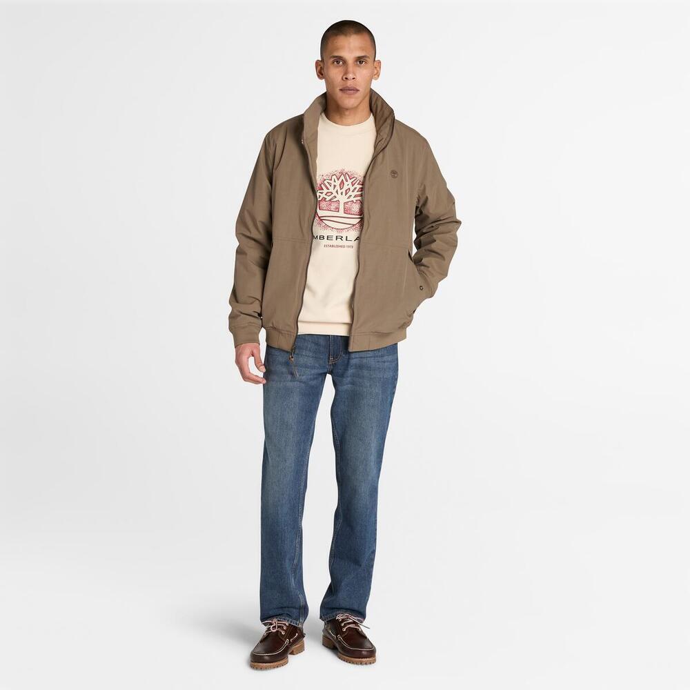 Front Seasonal Tree Logo Graphic Crewneck Sweater For Men