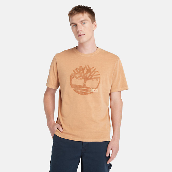 Timberland Garment Dye Logo Graphic T-Shirt For Men In Wheat