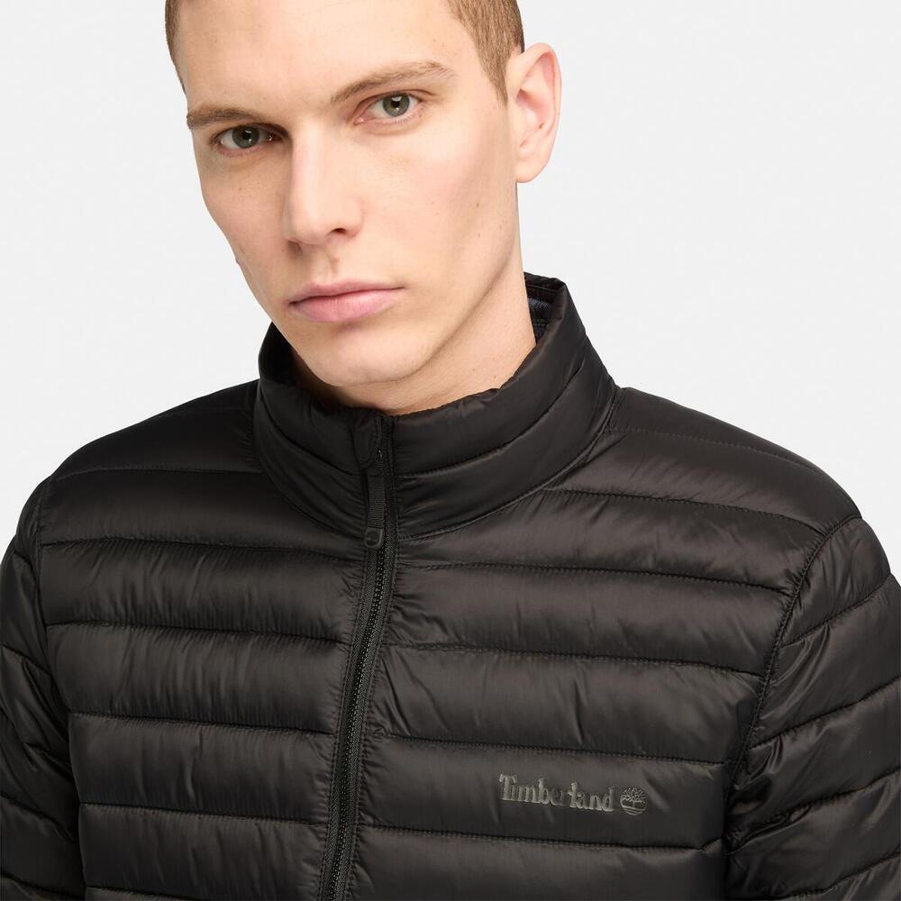 Axis Peak Durable Water Repellent Jacket  For Men