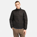Axis Peak Durable Water Repellent Jacket  For Men