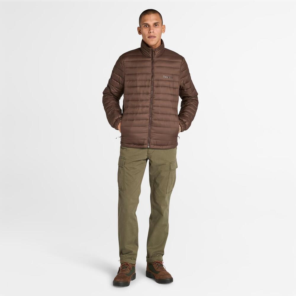 Axis Peak Durable Water Repellent Jacket For Men