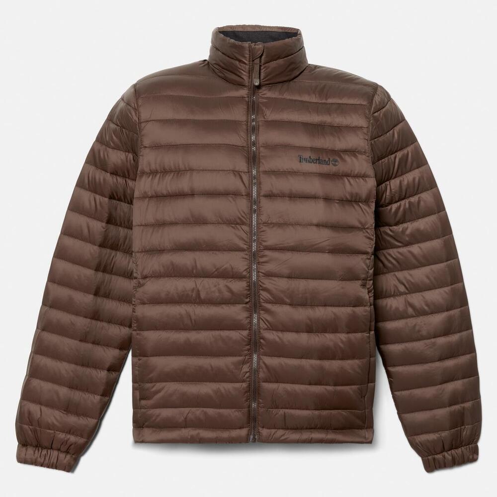 Axis Peak Durable Water Repellent Jacket For Men