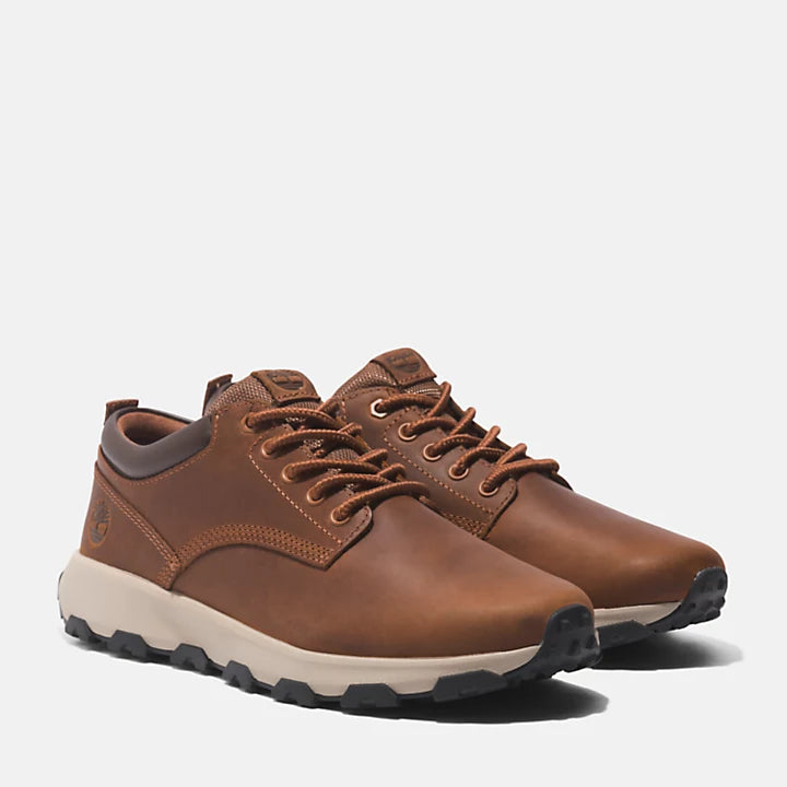 Timberland Greenstride Winsor Park Trainer For Men In Brown