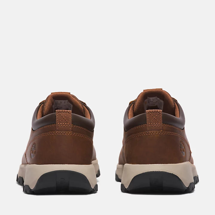 Timberland Greenstride Winsor Park Trainer For Men In Brown