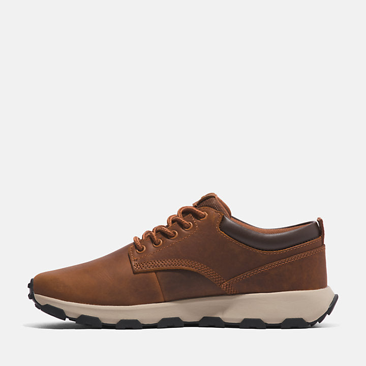 Timberland Greenstride Winsor Park Trainer For Men In Brown