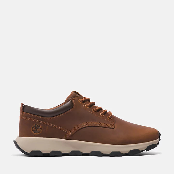 Timberland Greenstride Winsor Park Trainer For Men In Brown