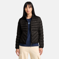 Axis Peak Durable Water Repellent Jacket For Women