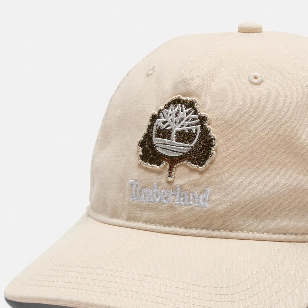 Tree Baseball Cap