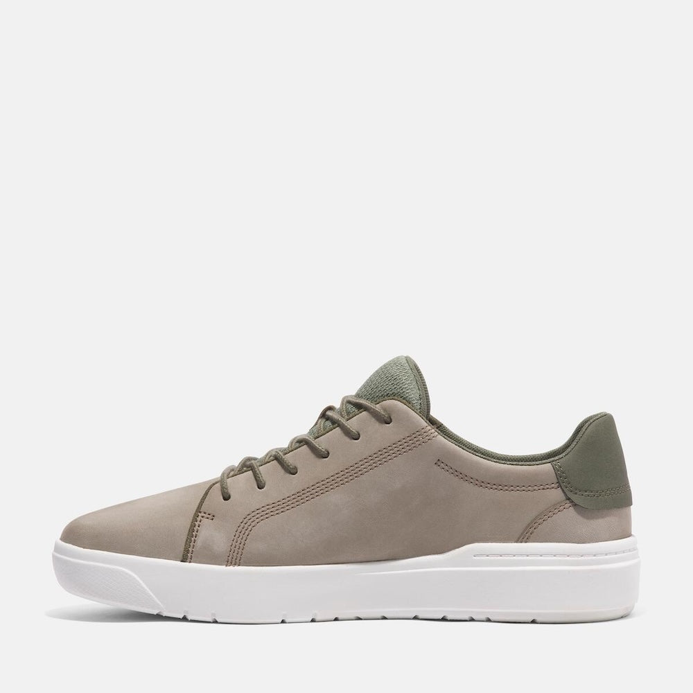 Timberland Seneca Bay Oxford Sneaker For Men In Light Taupe