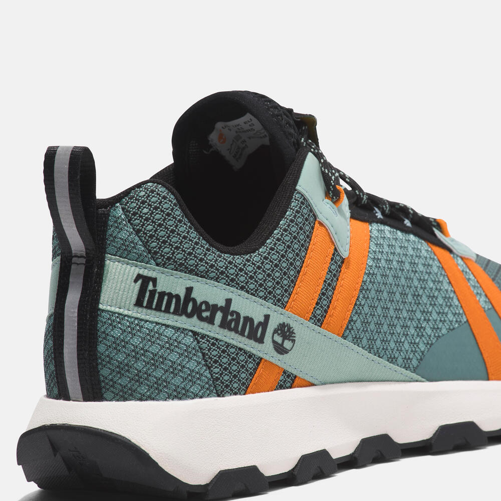 TIMBERLAND WINSOR TRAIL LOW LACE-UP SNEAKER FOR MEN IN LIGHT GREEN