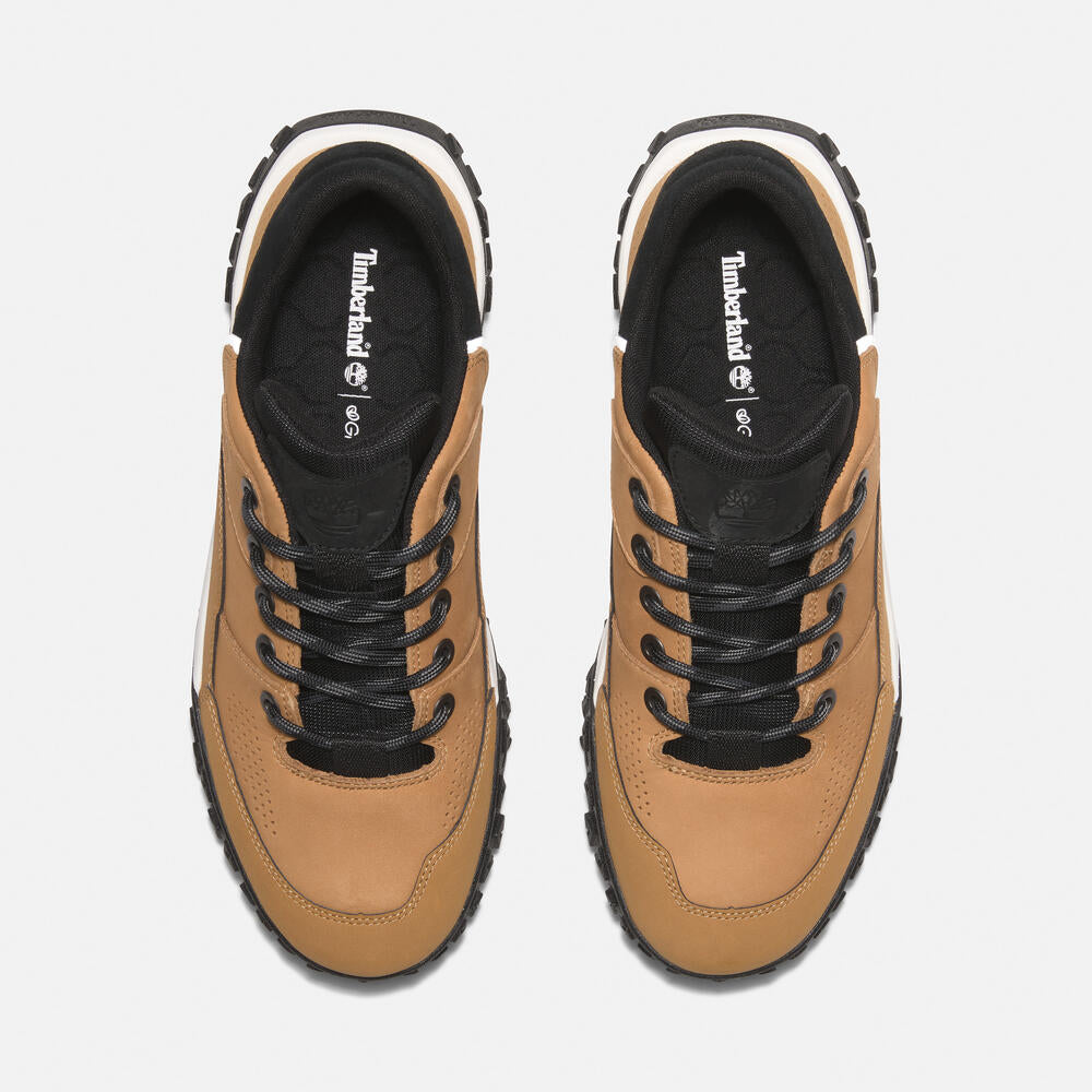 GreenStride Motion 6 Low Lace-Up Hiking Boot For Men – Timberland