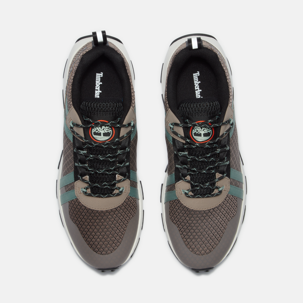 Winsor Trail Low Lace-Up Sneaker For Men