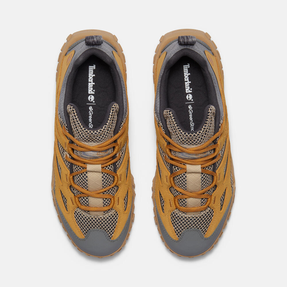 Greenstride Motion 6 Low Lace-Up Sneaker For Men