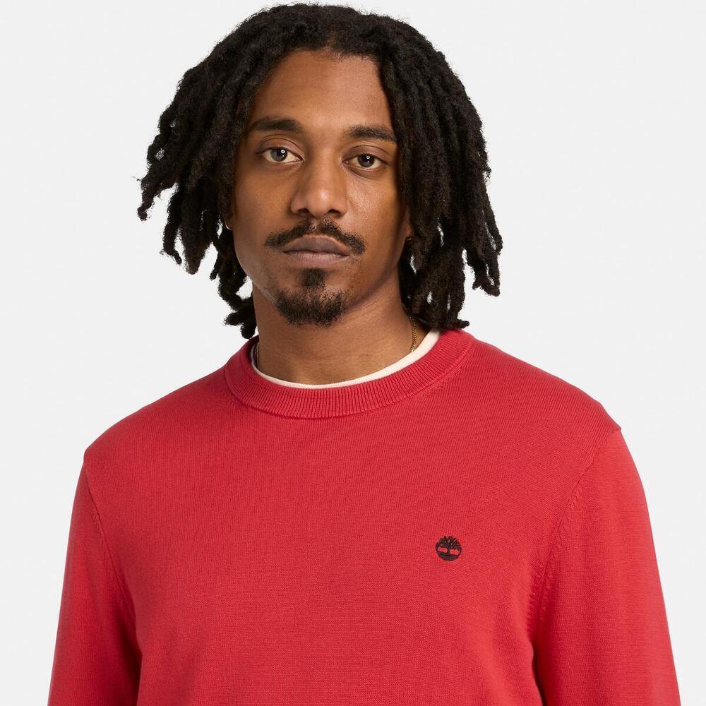 Williams River Cotton Jumper for Men