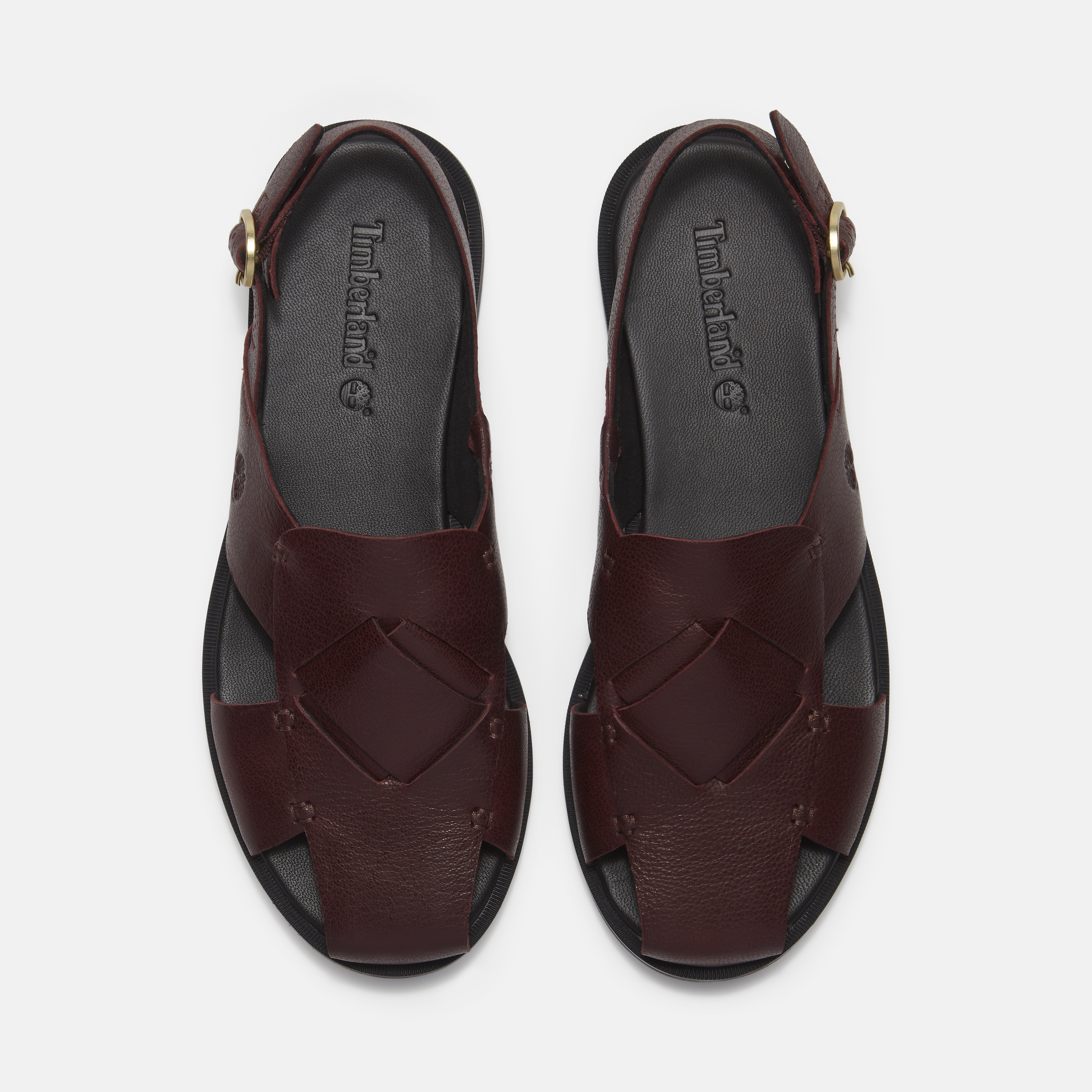 Calista Bay Backstrap Sandal For Women