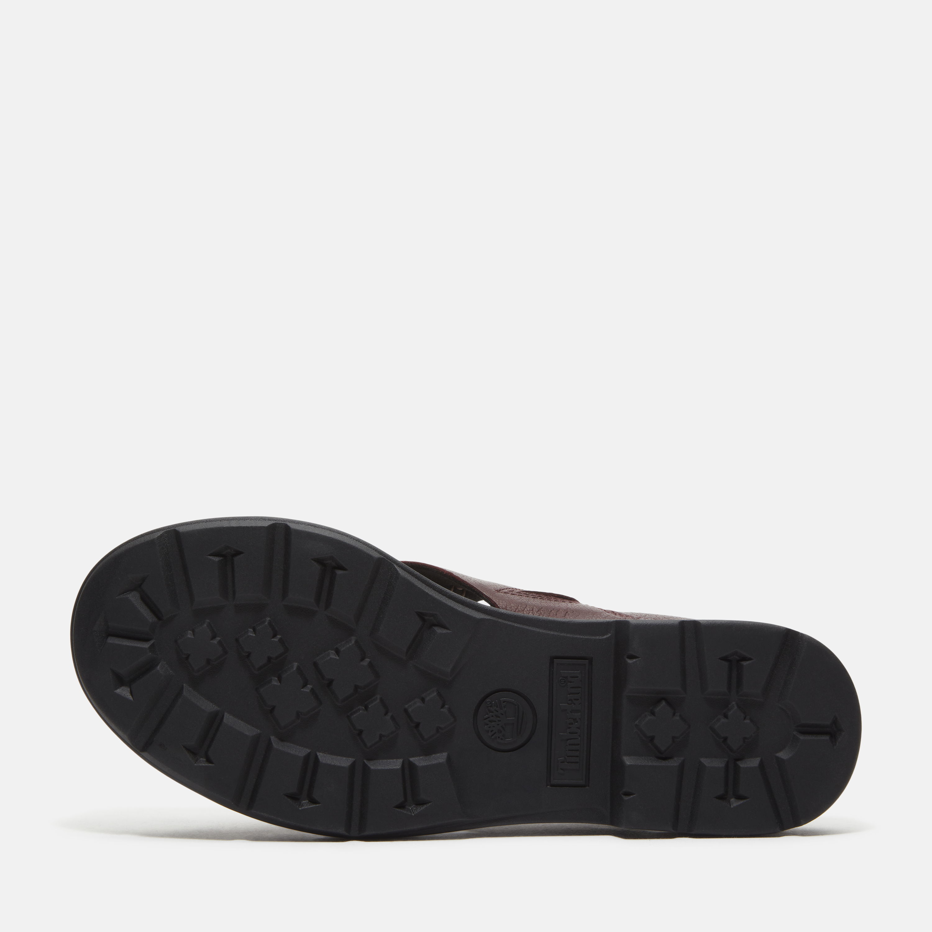 Calista Bay Backstrap Sandal For Women