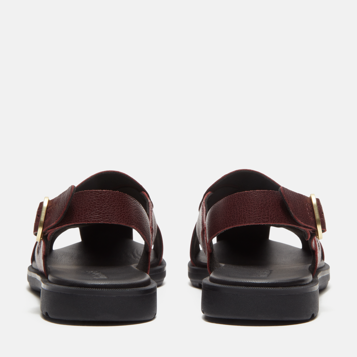 Calista Bay Backstrap Sandal For Women