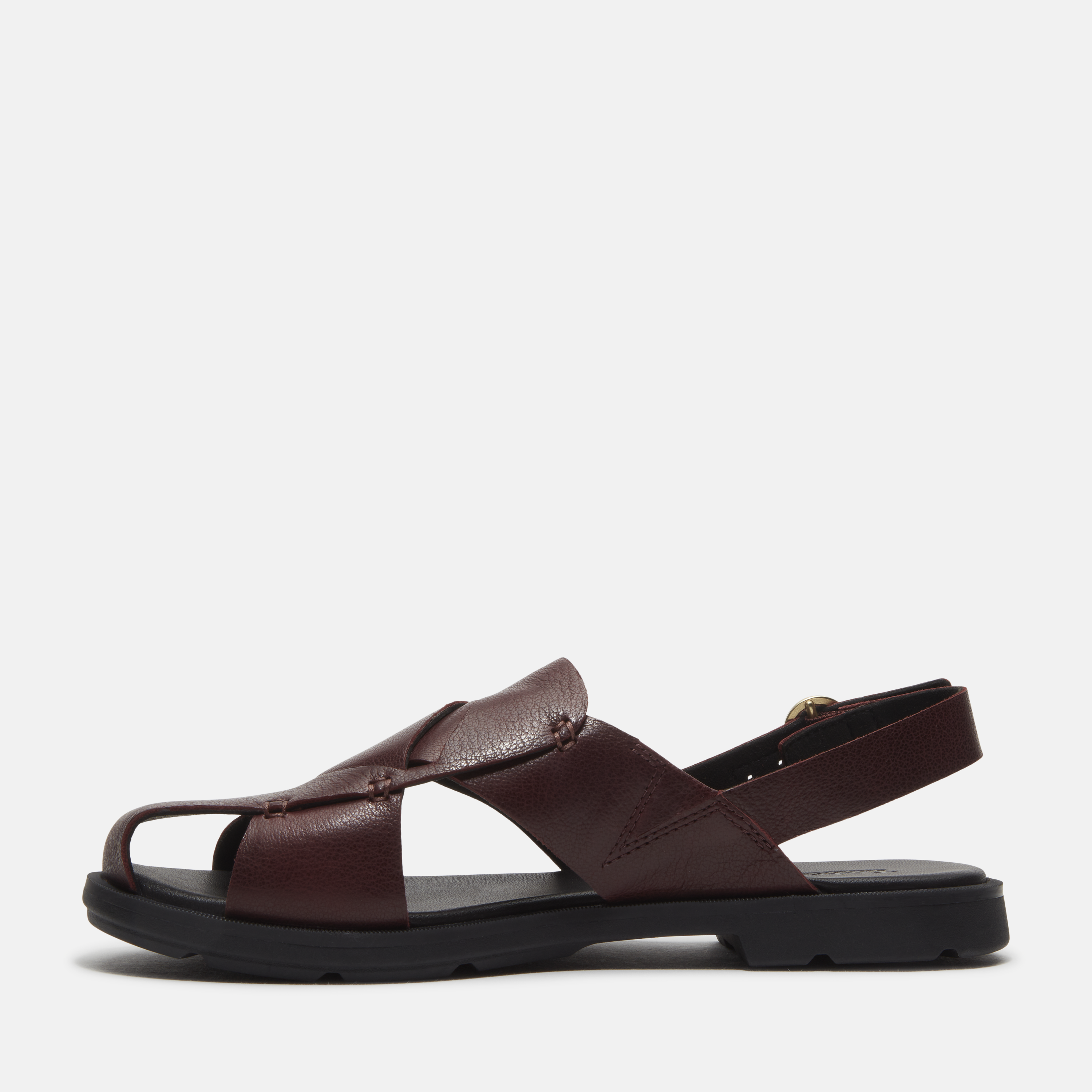 Calista Bay Backstrap Sandal For Women