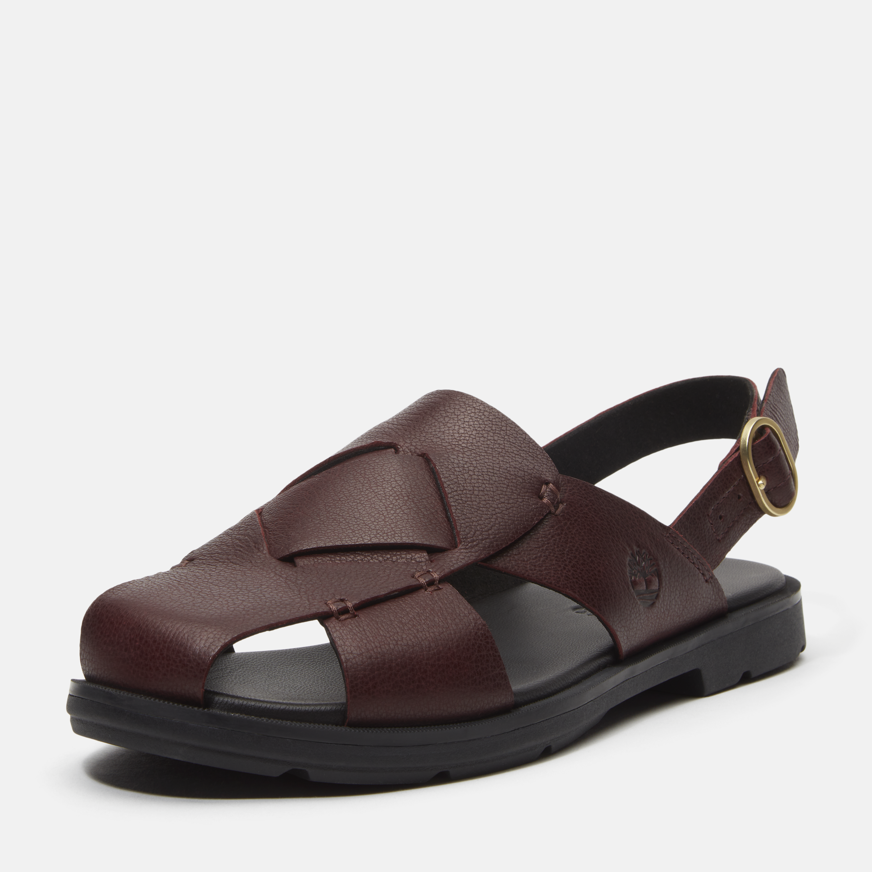 Calista Bay Backstrap Sandal For Women