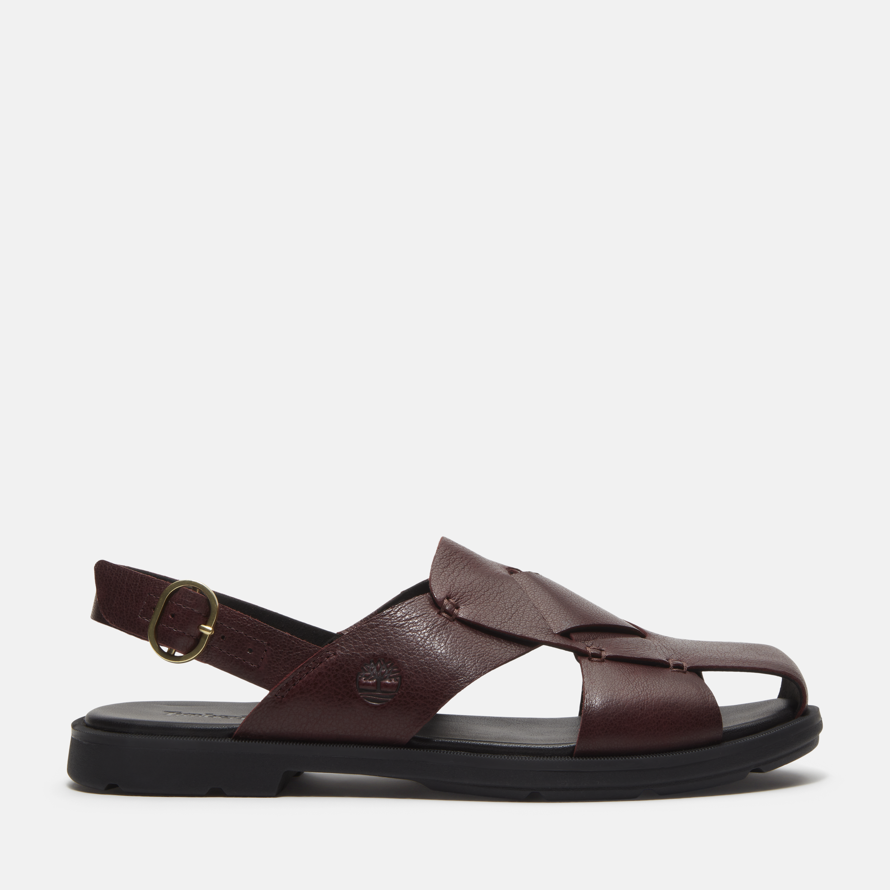 Calista Bay Backstrap Sandal For Women