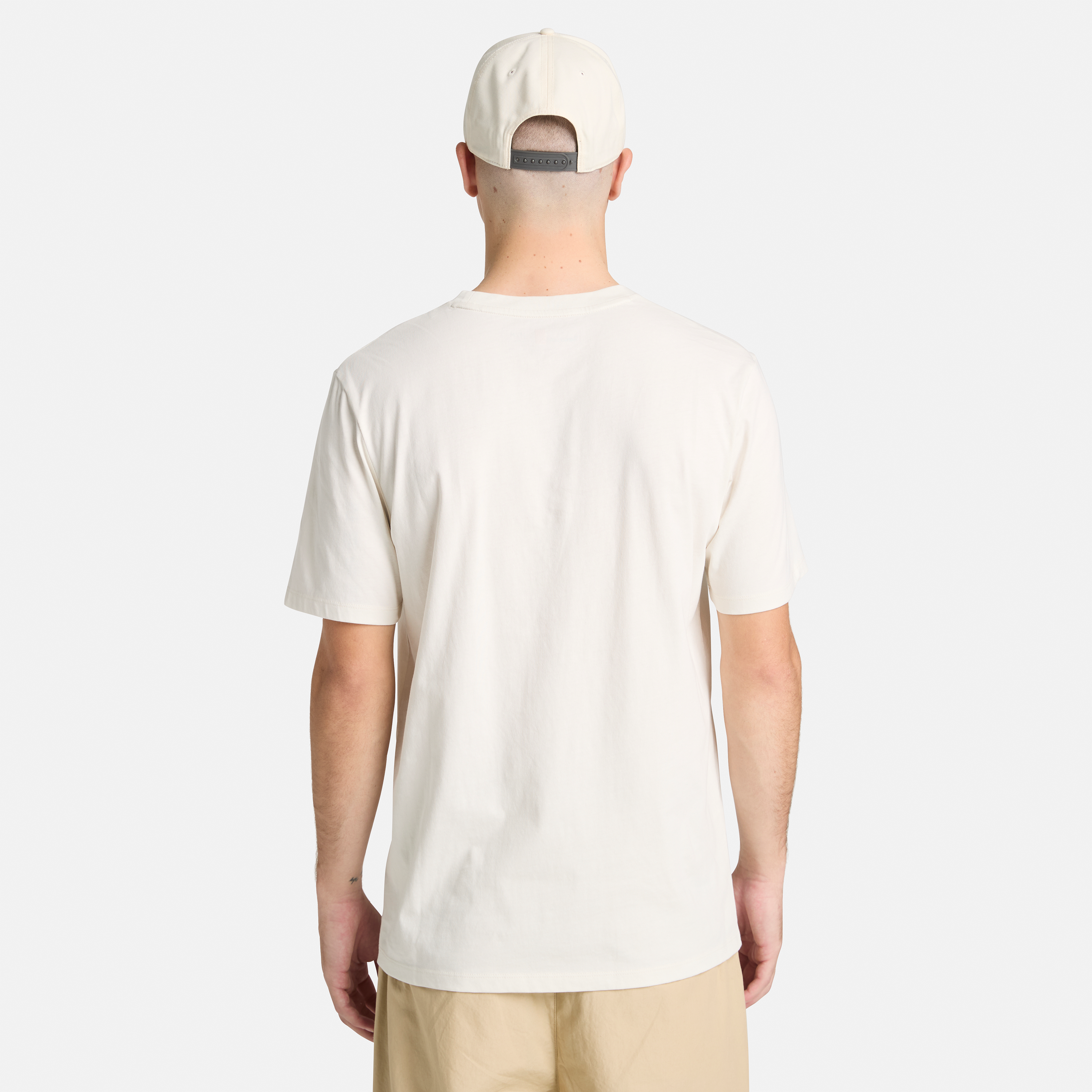 Tree Logo Lake House Graphic T-Shirt For Men