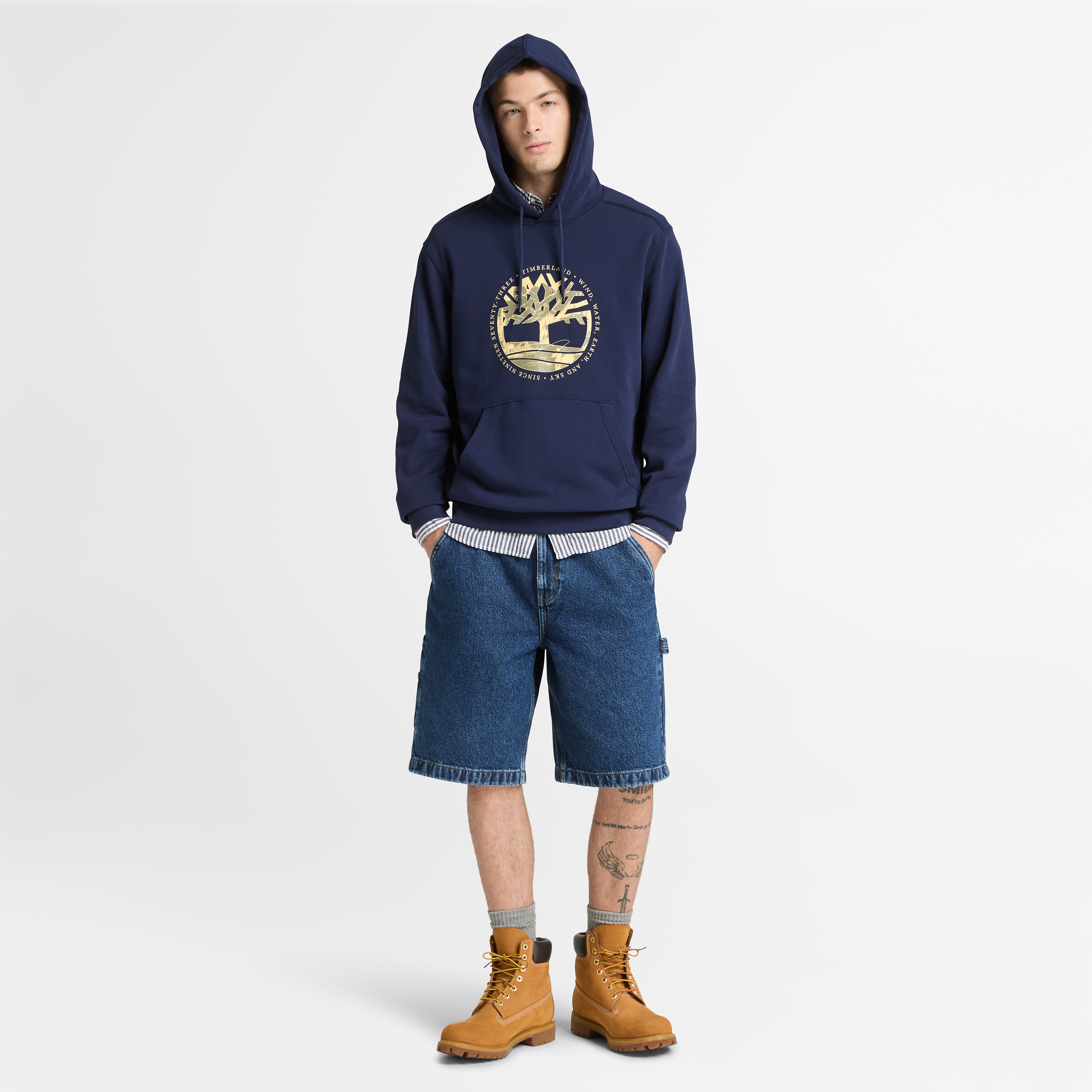Tree Logo Lake House Graphic Hoodie For Men