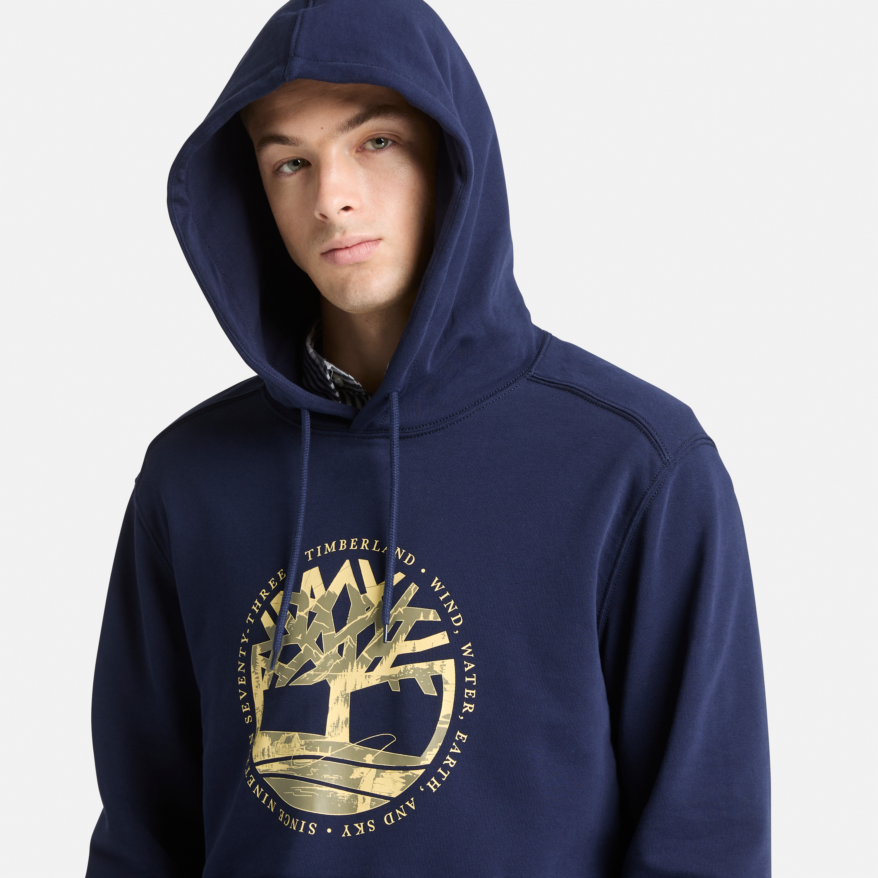 Tree Logo Lake House Graphic Hoodie For Men
