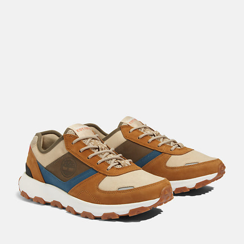 TIMBERLAND WINSOR PARK TRAINER FOR MEN IN BROWN