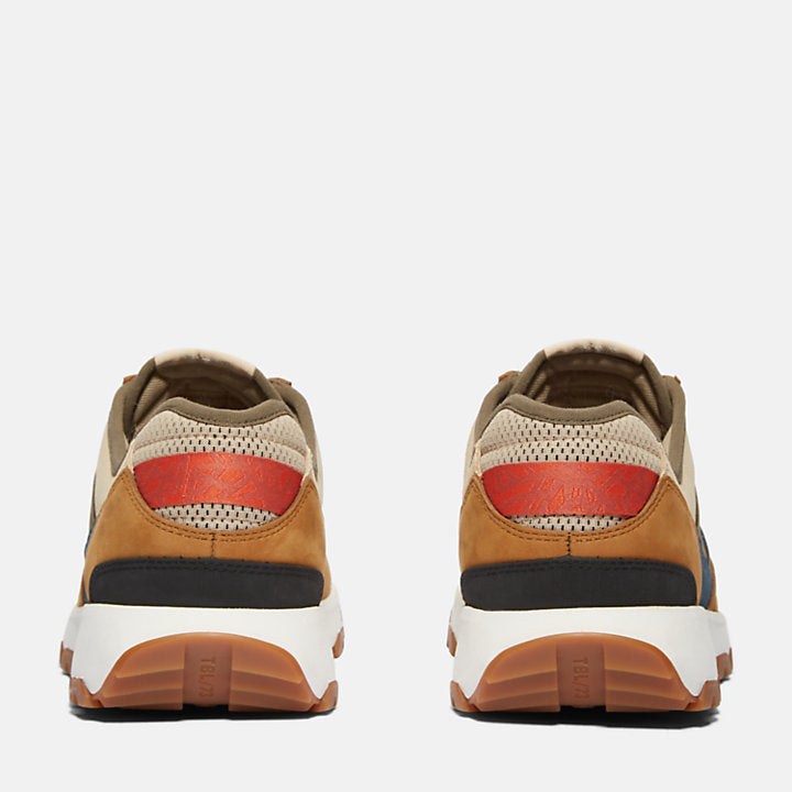 TIMBERLAND WINSOR PARK TRAINER FOR MEN IN BROWN